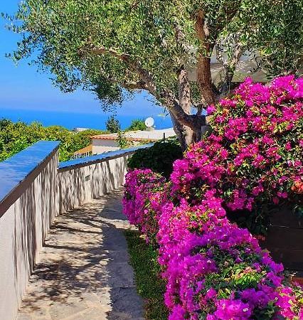 Appartamenti Luongo Forio di Ischia المظهر الخارجي الصورة