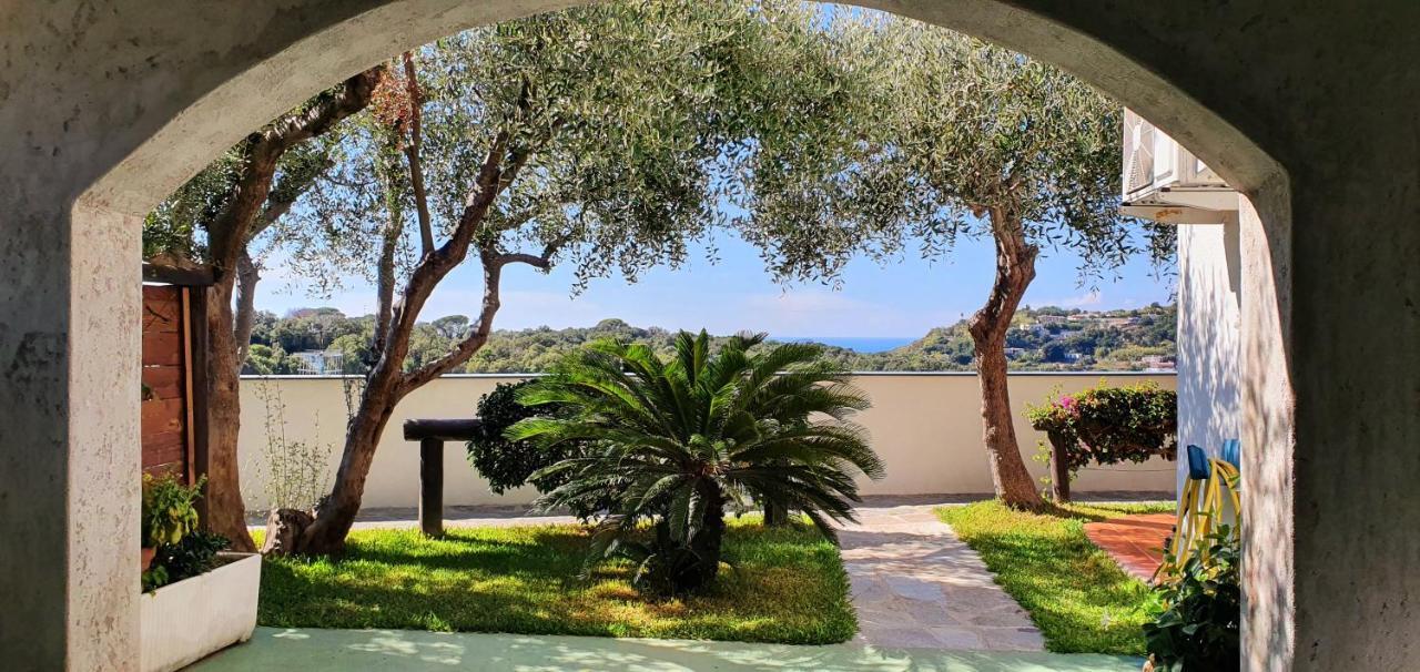 Appartamenti Luongo Forio di Ischia المظهر الخارجي الصورة