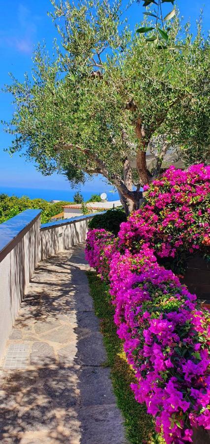 Appartamenti Luongo Forio di Ischia المظهر الخارجي الصورة