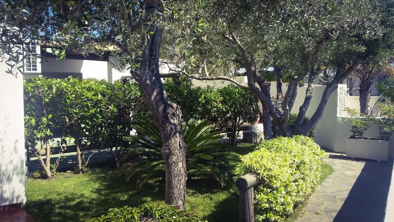 Appartamenti Luongo Forio di Ischia المظهر الخارجي الصورة