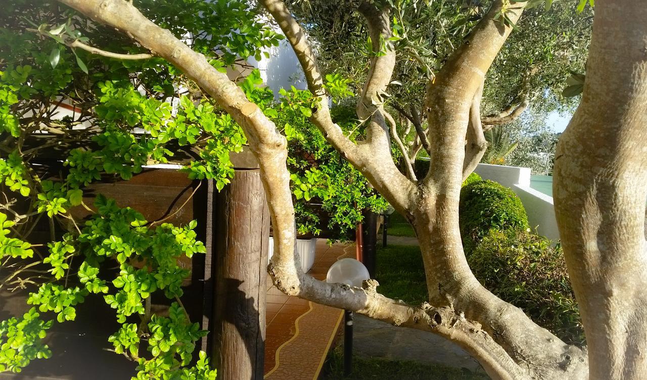 Appartamenti Luongo Forio di Ischia المظهر الخارجي الصورة