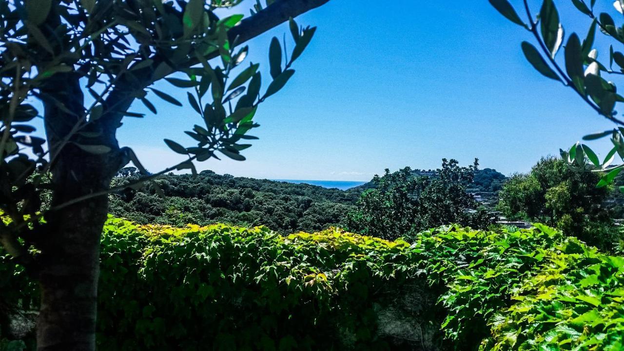 Appartamenti Luongo Forio di Ischia المظهر الخارجي الصورة
