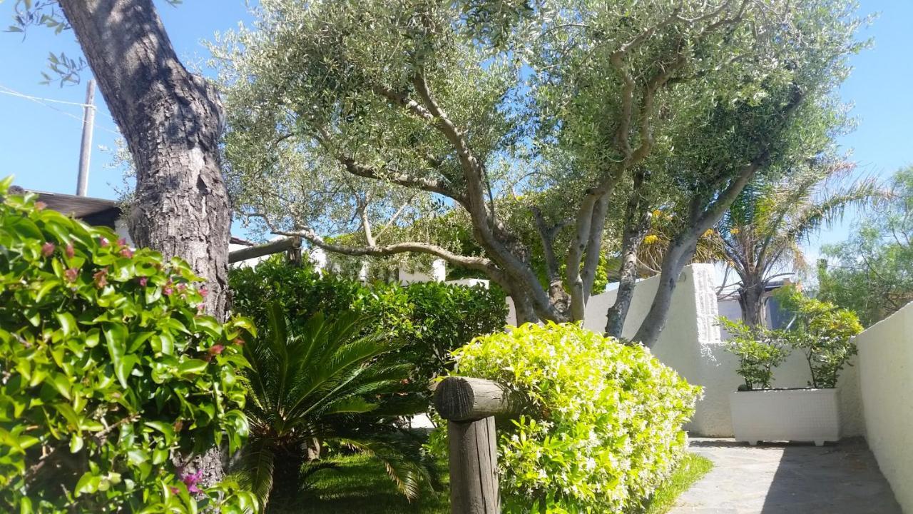 Appartamenti Luongo Forio di Ischia المظهر الخارجي الصورة