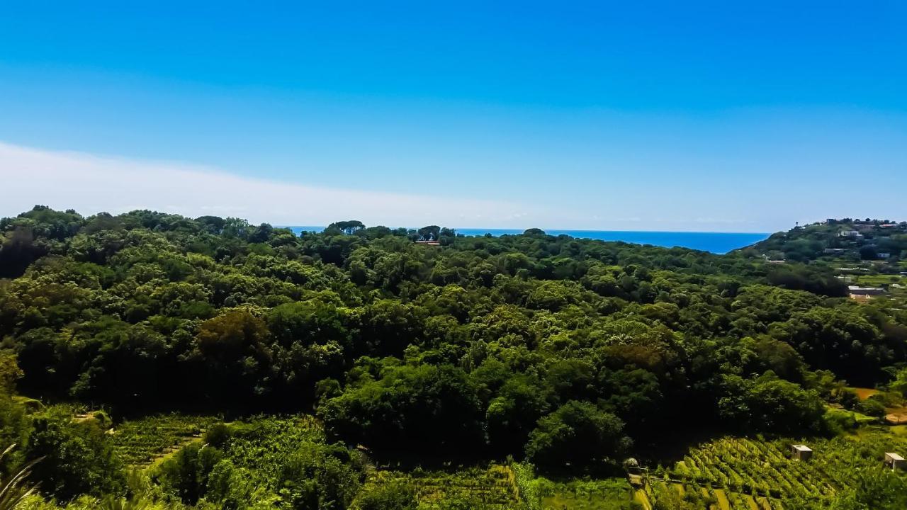 Appartamenti Luongo Forio di Ischia المظهر الخارجي الصورة