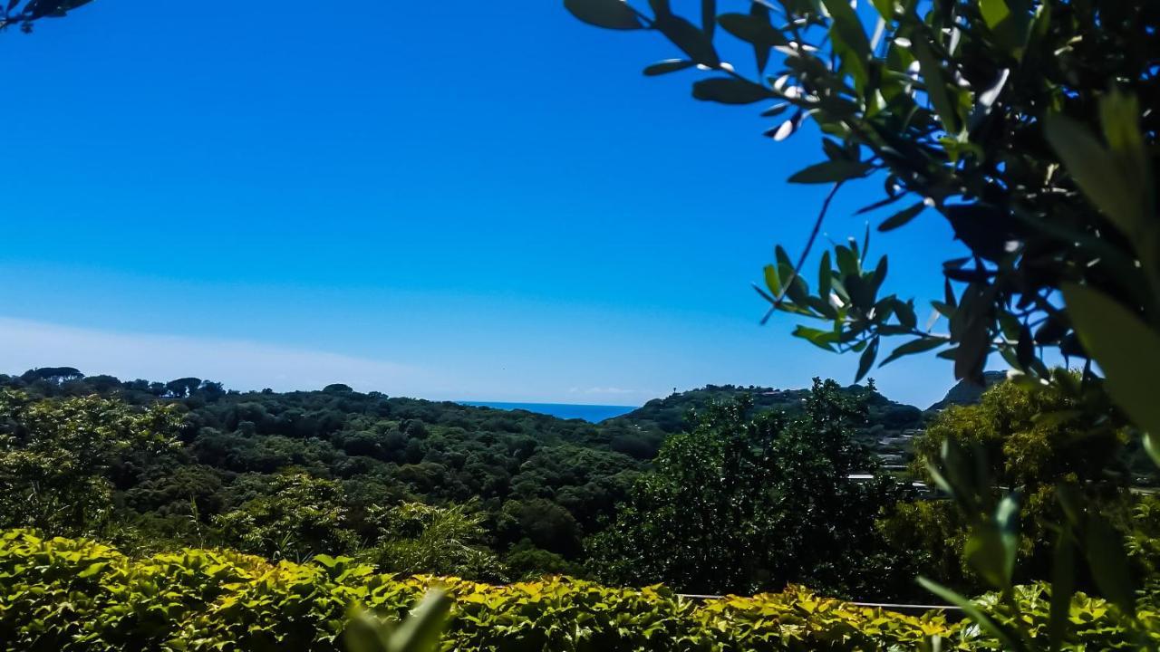 Appartamenti Luongo Forio di Ischia المظهر الخارجي الصورة