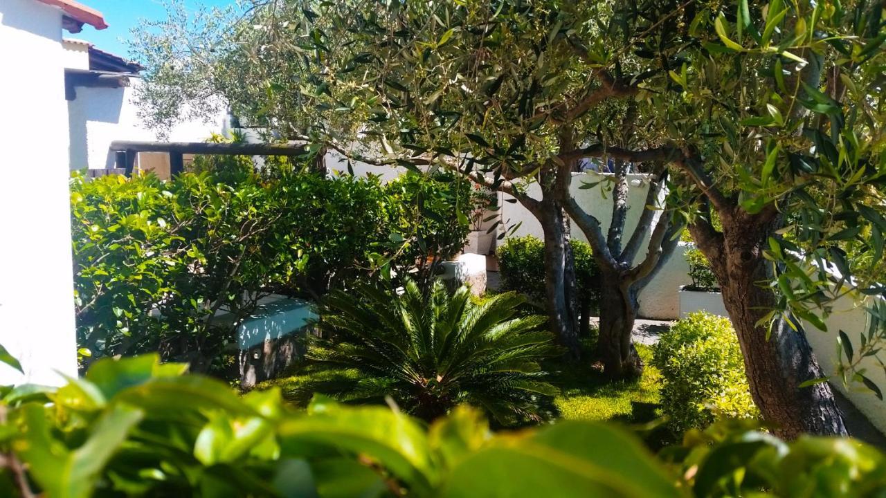 Appartamenti Luongo Forio di Ischia المظهر الخارجي الصورة